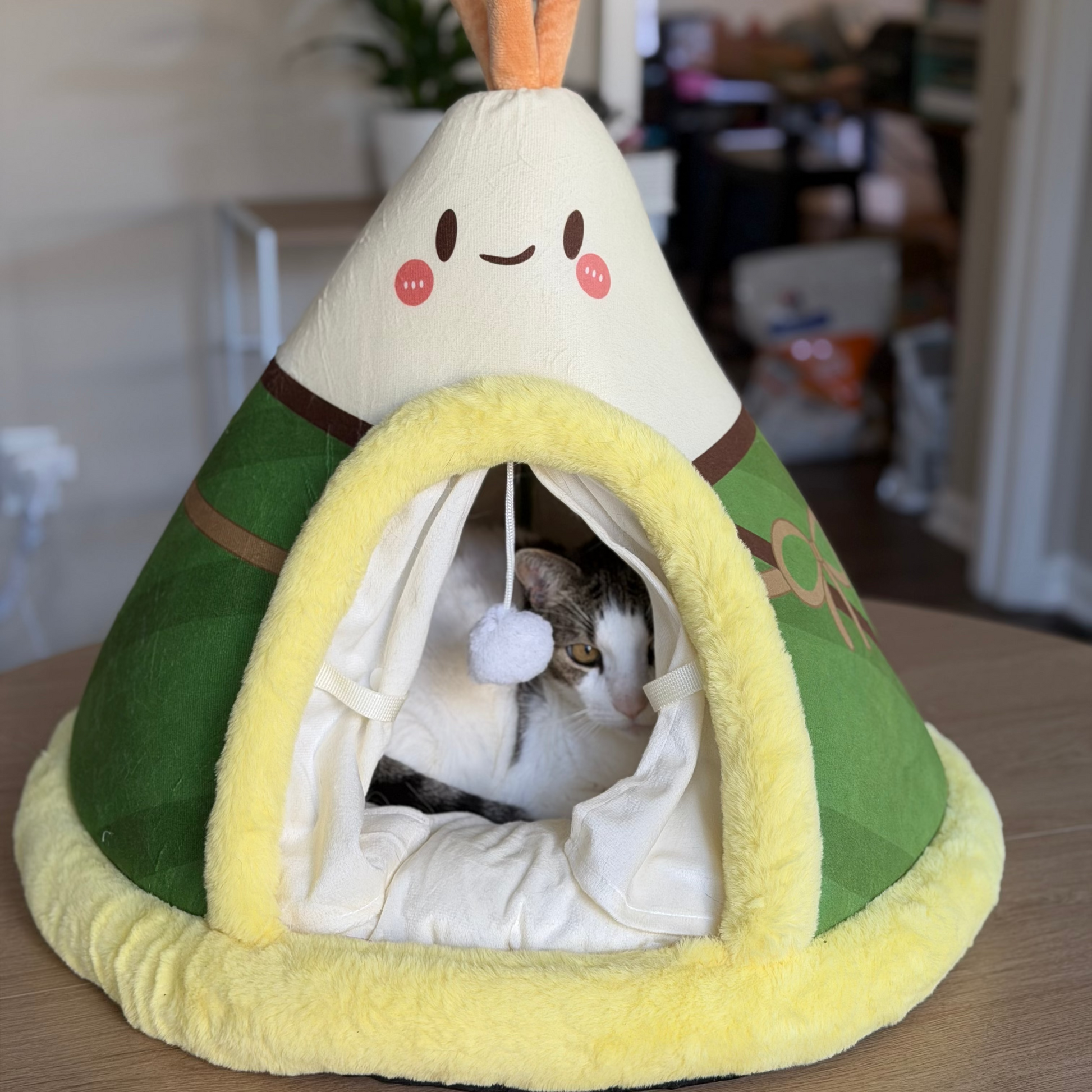 Green onion cone-shaped cat tent with cat laying down inside