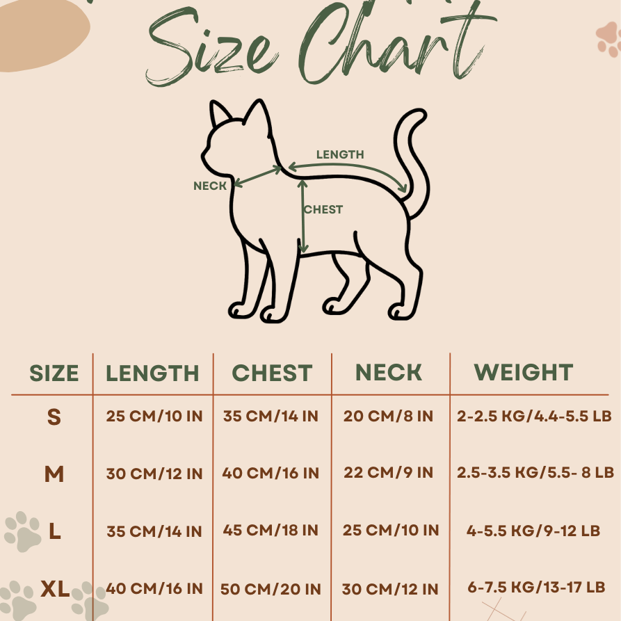 Estella Cat Outfit